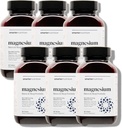 Nutikam toitumine Magneesium Kompleks - Kelaat Magneesium Glütsinaat + tsitraat, malaat magamiseks, lõõgastumiseks, lihased ja närvid + kliiniliselt tõestatud L-Theanine, mitte-GMO-360 tablett[180-päevane pakkumine]