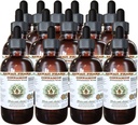 Kaneel Alkoholivaba vedelik ekstrakt, kaneel (Cinnamomum Verum) Kuivatatud koor Glycerite Hawaii Pharm Looduslik Taimne täiendus 15x4 oz