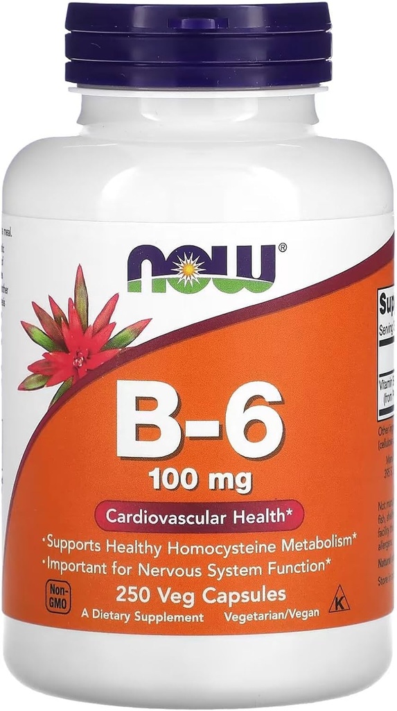 Nüüd toidud Vitamiin B-6 250 kapslit / 100 mg