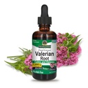 Nature's Answer Valerian Juur | Promotes Restful Sleep | Calms & Relaxes | Super Concentrated 1000mg | Gluteenivaba, alkoholivaba, Kosher Certified & Vegan 2oz (pakk 2)