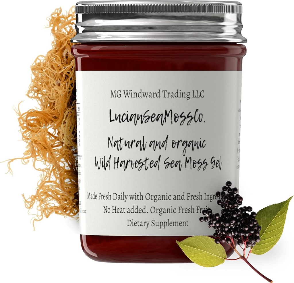 Dr Sebi Inspireeritud Alkaline Orgaaniline Värske Elderberry Ingver Sea Moss Gel - Natural Essential Vitamiinid, Mineraalid Plus Antioksüdandid Wild Harvested Saint Lucia (8 oz.)