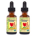 LAPSED ESSENTIALS Echinacea lastele - Lapsed Echinacea tilgad, Vedel Tinktuur, alkoholivaba lisand väikelastele, väikelastele, lastele - looduslik apelsin, 1 Fl Oz (pakk 2)