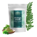 Moringa jätab pulbri Oleifera Leaf Shigru suurepäraseks jookides ja smuutides 16 Ounce