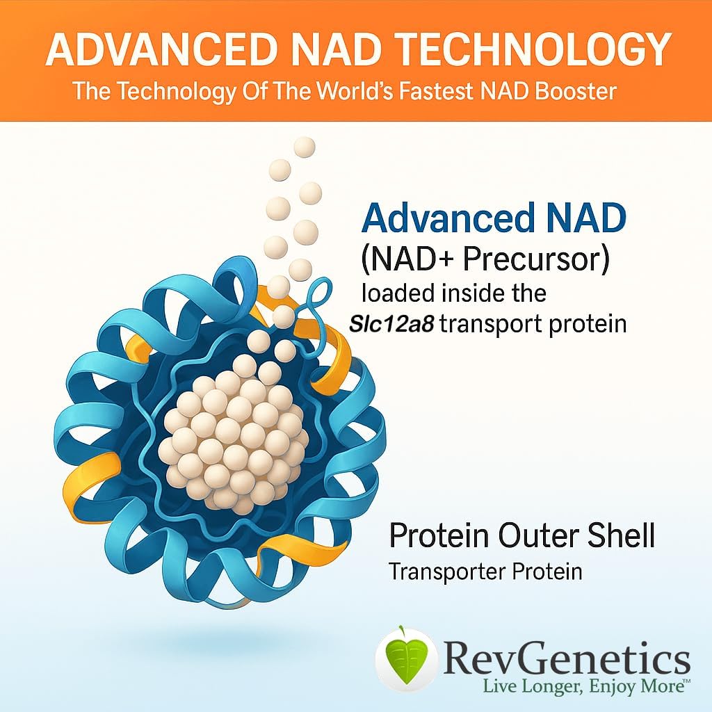 REVGENETICS Advanced NAD + täiendus, 60 kapslit - toidulisand tervisliku vananemise ja pikaealisuse jaoks