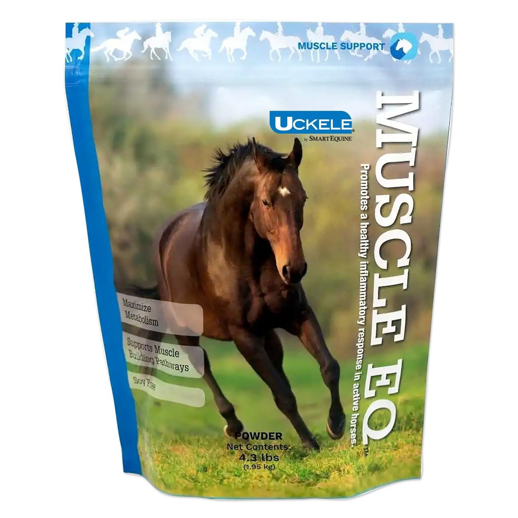 Lihas EQTM pulber | Lihaslisandi L-karnitiiniga hobustele | Aminohappe beeta-alaniin optimaalse lihasfunktsiooni ja toetab taastumist | 4,3 lb kott