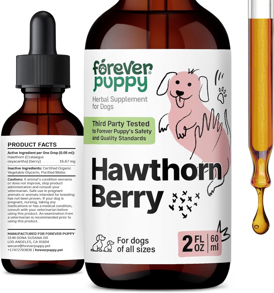 Forever Kutsikas Hawthorn Berry tilgad koertele - Antioksüdantne tugi tinktuur koertele w / Harthorn Berry - Vedel südame tervise täiendus õnnelikele lemmikloomadele - säilitusainete ja kunstlike värvide puudumine - 2 oz