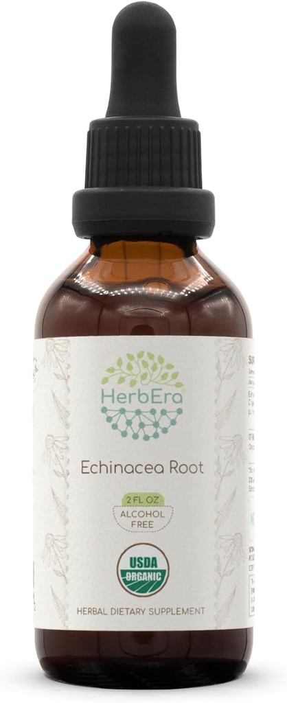 HerbEra Echinacea Juur B60 USDA orgaaniline tinktuur | Alkoholivaba ekstrakt, suure tugevusega taimetilgad, immuunsüsteemi tervis | Sertifitseeritud orgaaniline Echinacea Juur (Echinacea Purpurea) Kuivatatud Juur (2 fl oz)