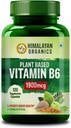Taimne B6-vitamiin | toetab immuunsust, aju tervist (120 kapslit)