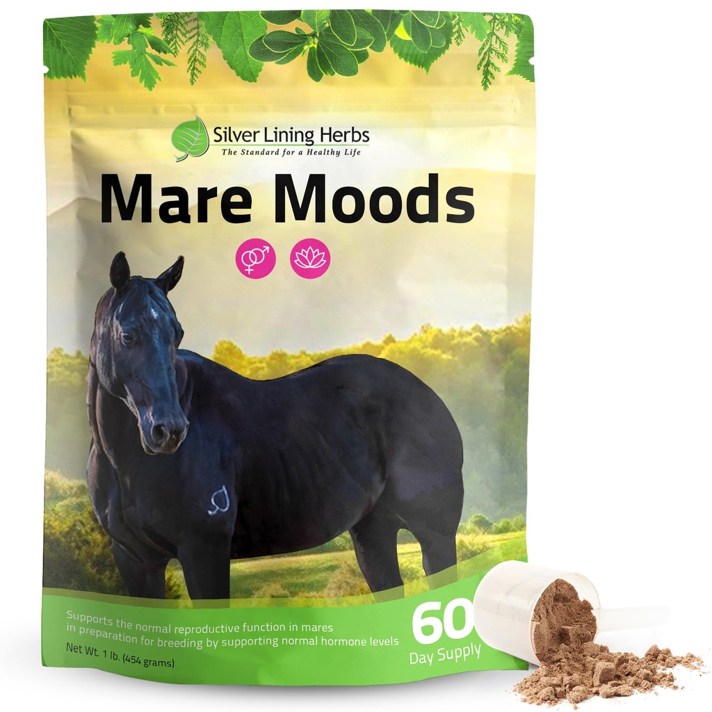 Hõbedane liningtaimed Mare Moods Hobuse rahustav lisand - looduslik hormoonide tasakaal ja rahu hobustele - taimsete hobuste lisandid meeleolu ja reproduktiivse toetuse jaoks - 1 lb 60-päevane