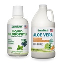 Maakunst Aloe Vera Joogigeel - Oranž Tangeriin Maitsestatud - Külmtöödeldud - Orgaanilised Värsked Lehed - 64floz + Vedel Chlorophyll Mint Maitsestatud - Külm ekstraheeritud looduslikest mitte-GMO Alfalfa - 16floz