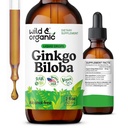 Wild & Organic Ginkgo Biloba Tinktuur - Aju ja fookuse toetamine Ginkgo Lehelisandiga - Vegan, suhkur ja alkoholivaba taimeekstrakt Tinktuur - 2 fl oz