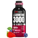 ProSupps L-karnitiin Liquid 3000, Stimulant-Free Vedelad kaadrid meestele ja naistele - Puhas treeningjook energia, jõudluse ja lihaste taastamiseks - Ei Suhkur, Ei Süsivesikud - 31 Servings, Berry