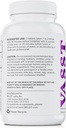 BELDT Labs VASST Lämmastikoksiidi Booster, N.O. Täiendus üle 3000mg Arginiin-AKG, OKG, GKG ja L-Arginine HCL lihaste hoone ja tõhustatud Vascularity - 90 tabletti