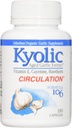 Kyolic Aged Küüslaugu ekstrakt Tervislik südame valem 106 - 100 kapslit
