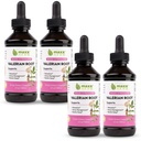Maxx Herb Valerian Juur ekstrakt - Max Tugevus, Vedelik Valerian Juur Absorbs Parem kui kapslid, Lõõgastav ja rahutu uni, Alkoholivaba - 4 pudelit, 4 Oz Iga (240 Servings)