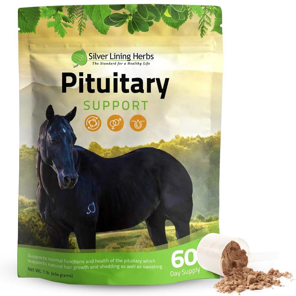 Hõbedane vooderdustaimed Ajuripatsi Täiendused Hobustele - Hobuste Metaboolne Toetus, Cushing's, Higistamine & Shedding Issues - Mood & Energy Horse Supplement - 1 lb 60-päevane pakkumine