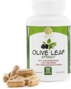 Oliivilehe ekstrakt - 500mg - toidulisand, mis on standarditud 25% oleuropeiinile - 20% hüdroksütürosoolile - 40% polüfenoolidele - mitte-GMO + gluteenivaba + piimavaba + sojavaba + vegan (30 kapslit)