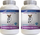 Seedetrakti toidulisandid - PROBIOTICS koertele - Tervislik soolestik - Gaasi kõhulahtisuse ja halva hingamise peatamine - Seedetrakti suurenemine - Koera probiootikumid halvaks hingeõhuks - 2 pudelit (120 ravimit)