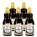 Ametlik turustaja - 5 pudelit Apiario Silvestre Brasiilia Green Bee Propolis Vedel Glükoolne ekstrakt-Non Alkohoolne, vahavaba, suhkruvaba (PG)