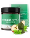 HERBAMAMA Stinginging Nettle Gummies - 7500mg Stinging Nettle juure ekstrakt kuseteede toetust naistele ja meestele - Vegan, Non-GMO Urtica Dioica Supplement - 60 Pektiin-Based Apple maitsestatud Chews