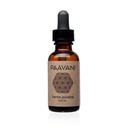PAAVANI Ayurveda Kõrvaõli - Valmistatud USA-s - Ayurveda taimekõrvatilgad - Sügelevad Kõrvad & Kõrvavalu Relief - 100% Orgaaniline, 1 oz