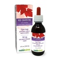 Naturalma Red Grapevine (Vitis vinifera) Leht Alkoholivaba tinktuur - 4 fl oz Vedel ekstrakt tilkadena - Taimne täiendus - Vegan
