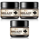 Shilajit Pure Himalayan Orgaaniline Shilajit Vaik - 600mg Maksimaalne potentsi Natural Organic Shilajit Vaik 85+ Trace Minerals & Fulvic Acid for Energy, Immune Support, 30 Grams (3 Pack)