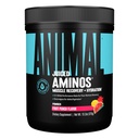 Loomamahlaga aminohapped - BCAA pulber EAA Matrix Plus hüdraat elektrolüütide ja meresoolaga igal ajal taastumine ja parem jõudlus, puuviljamaitse, 30 serveerimist