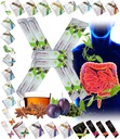 Kõik Natural Detox Cleanse Kiirtee Segu Prune & Plum w. Fiber & Inuliin optimaalseks sooletransiidiks FuXion Prunex 1 (10 kotikest)