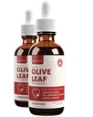 Rejuvica Active Olive Leaf Extract | Looduslikult esinevad oleuropeiini vedelikutilgad immuunsuse ja südame toetamiseks | Kiire imendumine, vegan, alkoholivaba | 4 fl oz