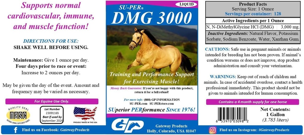SU-PER DMG 3000 Horse Supplement - Training & Performance Support Vedelik - toetab normaalset kardiovaskulaarset immuun- ja lihasfunktsiooni - 1 Gallon, 4 kuu pakkumine