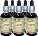 Lotus, Xi Xin (Nelumbo Nucifera) Kuivatatud tüvi Vedelikekstrakt (Brand Name: HerbalTerra, Proudly Made in USA) 5x2 oz