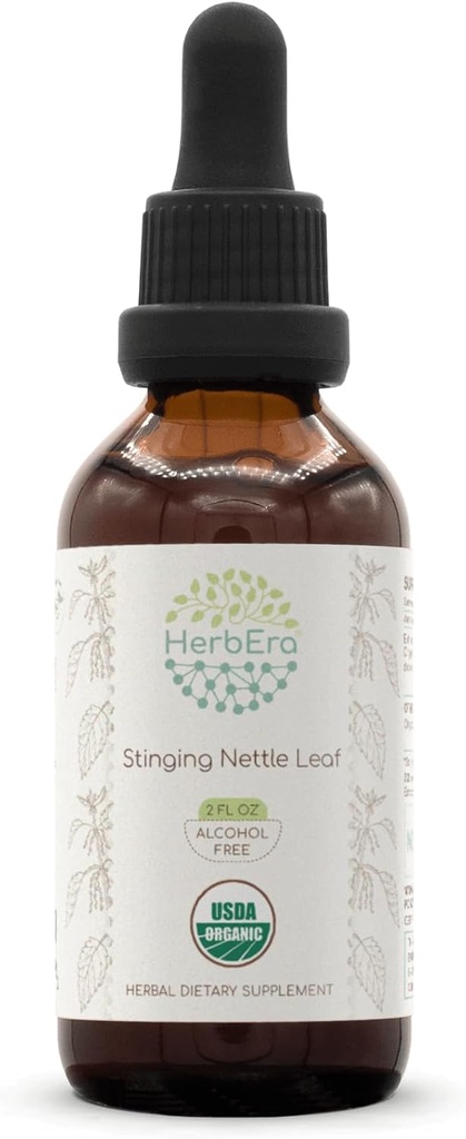 HerbEra Stinging Nettle Leaf B60 USDA orgaaniline tinktuur | Alkoholivaba ekstrakt, suure tugevusega taimetilgad | Sertifitseeritud orgaaniline nõel (Urtica Dioica) Kuivatatud leht (2 oz)