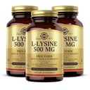 Solgar L-Lysine 500 mg - 100 köögiviljakapslit, pakendis 3 - Naha ja kudede tugi - Mitte-GMO, Vegan, Kosher, Gluteenivaba - 300 kokku