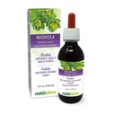 Naturalma Rhodiola rosea (Sedum roseum) Juur Alkoholivaba tinktuur - 4 fl oz Vedelikekstrakt tilkades - Taimne täiendus - Vegan