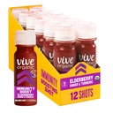 Vive Organic Immune Support Elderberry Shot, Cold-Pressed Kurkum & Ingver, Gluteenivaba, Vegan, Immunity Boost Elderberry, 2 Fl Oz (Pack of 12)