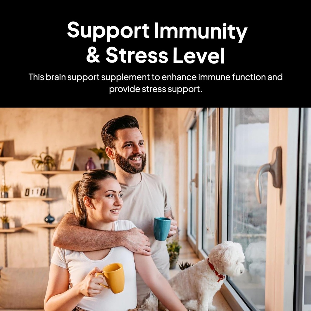 Doktor Morse'i aju ja närvisüsteemide tugi - immuunsuse ja stressi taseme toetamine - Naturopath formuleeritud nootroopiline lisand - Ginkgo Leaf, Gotu Kola, Astragalus Root & Butchers Broom - 90 kapslit