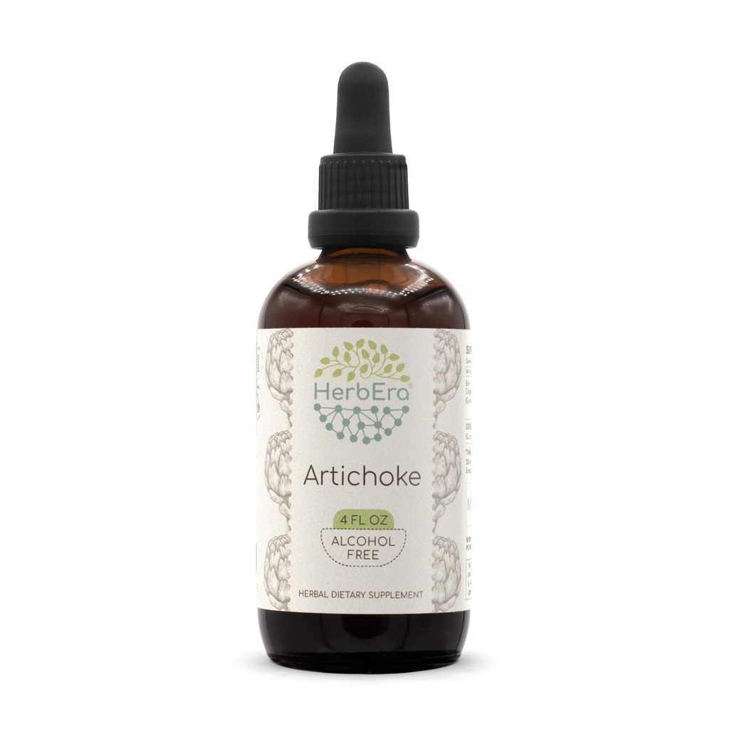 HerbEra artišokk B120 Alkoholivaba taimeekstrakti tinktuur, kontsentreeritud vedelik tilgad looduslik artišokk (Cynara scolymus) (4 fl oz)
