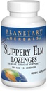Planeeditaimed Libedad Elm Lozenges, Taimse kurgu toetus, 24 Lozenge