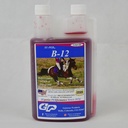 SU-PER B-12 Energy Horse Supplement - Hobuste vitamiinid B-12 ja B-9 Foolhapete tugivedelik - punaste vereliblede tootmine ja vastupidavuse toetus tipptulemusele - Quart, (2 Pack)