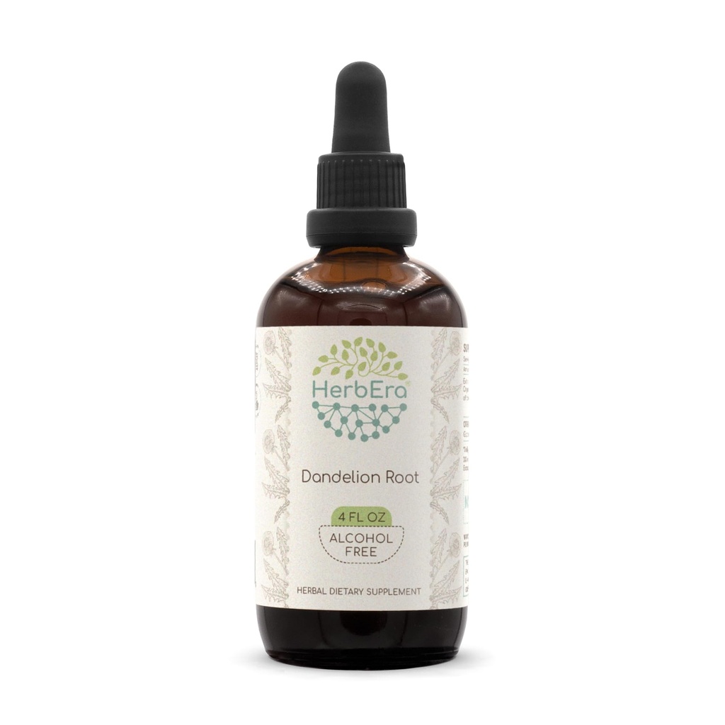 HerbEra Dandelion Juur B120 Alkoholivaba taimeekstrakti tinktuur, ülikontsentreeritud tandli (Taraxacum Officinale) kuivatatud juur (4 fl oz)