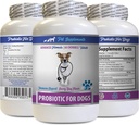Seedetrakti kaitse koertele - PROBIOTICS koertele - Tervislik soolestik - Stop Gas Diarröa ja halb hingamine - Seedetrakti hoogu - Koer probiootikumid närimistables Organic - 1 pudel (60 ravi)