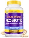 InnovixLabs Multi tüve probiootikumid naistele ja meestele - probiootiline täiendus - 50 miljardit CFU - soolestiku tervis, immuuntoetus, seedimine, Lactobacillus Acidophilus, prebiootikumid ja probiootikumid, 60 kapslit