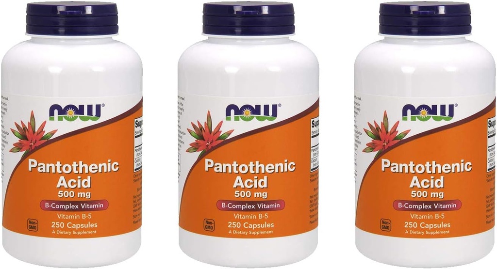 NOW Foods Pantothenic Acid 500 mg, 250 Capsule (3 Pack)
