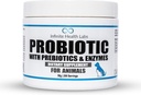 Probiootikumid koertele ja kassidele - Vet Formulated in USA Pet Prebiotic & Enzyme Powder for Digestive, Gut & Immune Health - 200 Servings (50 g)