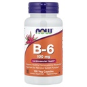 Nüüd toidud B-6 100 mg 100 kapslit