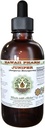 Kadaka alkoholivaba vedelik ekstrakt, orgaaniline kadakas (Juniperus Monosperma) Kuivatatud Berry Glycerite Hawaii Pharm Looduslik Taimne täiendus 4 oz