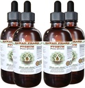 Aafrika kirsi Pygeum Alkoholivaba vedelik ekstrakt, Aafrika kirsi Pygeum (Prunus Africana) Bark Glycerite looduslik taimsete täiendada, Hawaii Pharm, USA 4x4 oz