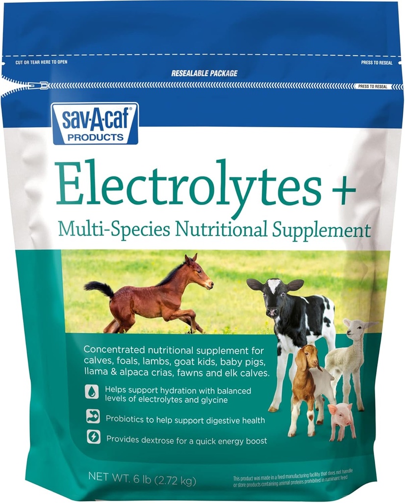 Sav-a-Caf Electrolytes PlusTM täiendus | 6 naela (6 LB) kott