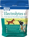 Sav-a-Caf Electrolytes PlusTM täiendus | 6 naela (6 LB) kott